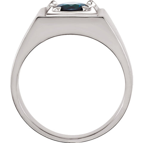 Ring > Men's > Sapphire > Blue > Two-Tone > 14kt
