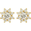 Earrings > Cluster > Diamond > 3/4 CTW > 1