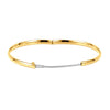 Bracelet > Bangle > Hinged > 4mm