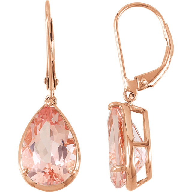 Earrings > Back > Lever > Morganite