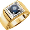 Ring > Men's > Sapphire > Blue > Two-Tone > 14kt