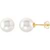 Earrings > Pearl > Fashion > Cultured > Sea > South > Round > Near > 10mm