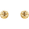 backs > with > Earrings > Ball > Half