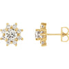 Earrings > Cluster > Diamond > 3/4 CTW > 1