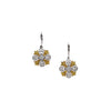 Earrings > Back > Lever > Diamonds > Yellow & White > Natural > 1/2 CTW