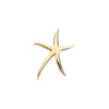 Pendant > / > Brooch > Starfish