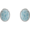 Earrings > Larimar